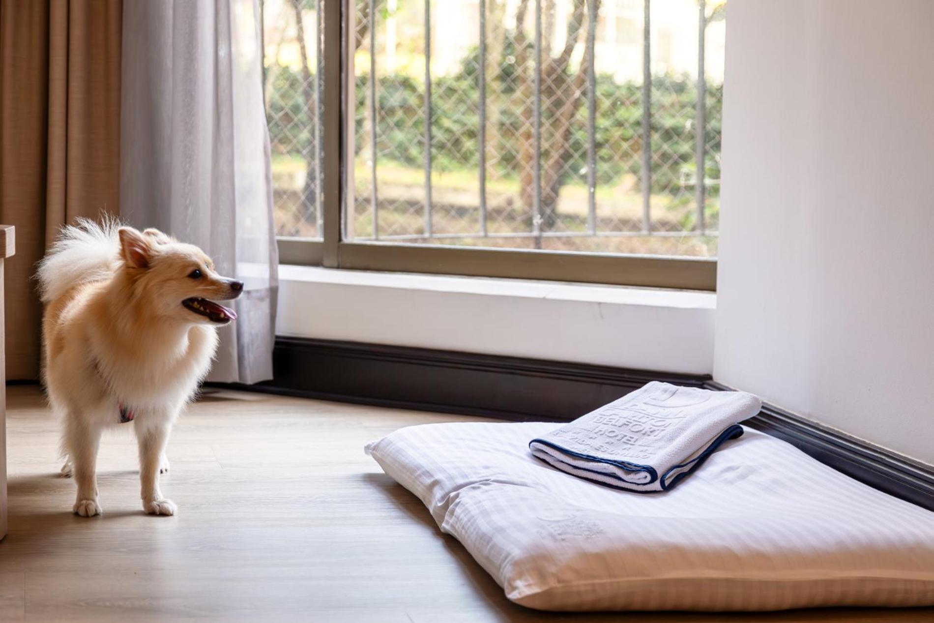 Hotel Dann Carlton Belfort Medellín Zewnętrze zdjęcie A dog bed